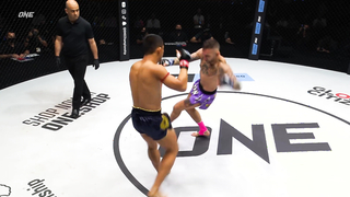 Leg Kicks That Get Increasingly SAVAGE