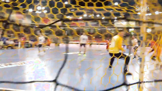 Jonathan Fischer Highlights vs. SG Flensburg-Handewitt | DAIKIN HBL | Dyn Handball