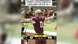 That catch tho #football #college #highlight #fsu
