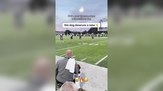 Such a cool job to have (via kicka.josh) #football #dog #highschoo...