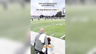 Such a cool job to have (via kicka.josh) #football #dog #highschoo...