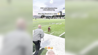 Such a cool job to have (via kicka.josh) #football #dog #highschoo...
