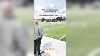 Such a cool job to have (via kicka.josh) #football #dog #highschoo...