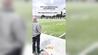 Such a cool job to have (via kicka.josh) #football #dog #highschoo...