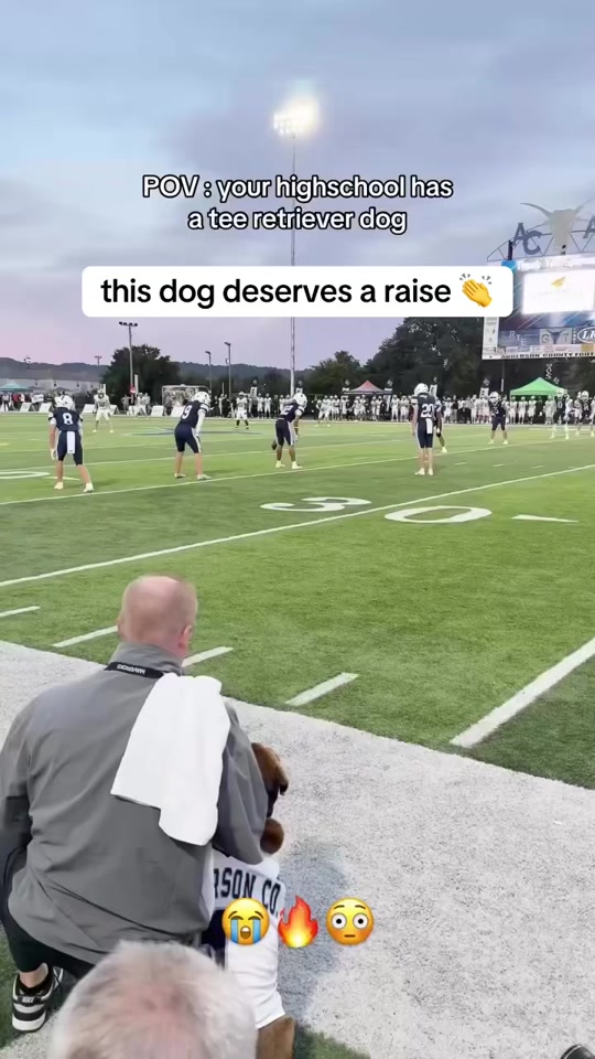 Such a cool job to have (via kicka.josh) #football #dog #highschoo...