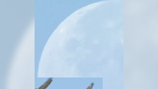 USC Vs Michigan GAME HIGHLIGHTS WEEK 7 | NCAA Football Oct 11,2025 Men's College Football 2nd-Qtr