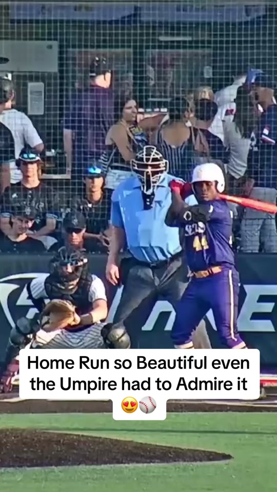 What a Beautiful Sight (Via lakepointsports/ig) #dinger #homerun #...