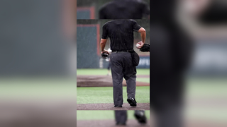 This has to be one of the best HR celebrations#fyp#soccer#baseball#...