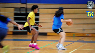 Briyanna Dodin Shines as a True Floor General at the Shoe Circuit Florida Nation Workout