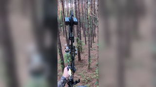 Can’t beat it with a stick #archery #bowhunting #deer #beastbroadhead...