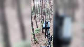 Can’t beat it with a stick #archery #bowhunting #deer #beastbroadhead...