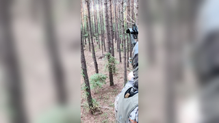 Can’t beat it with a stick #archery #bowhunting #deer #beastbroadhead...