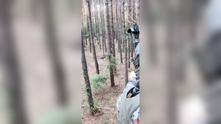 Can’t beat it with a stick #archery #bowhunting #deer #beastbroadhead...