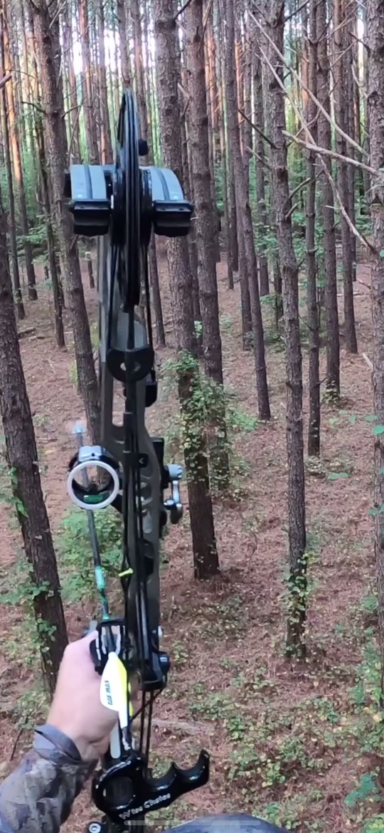 Can’t beat it with a stick #archery #bowhunting #deer #beastbroadhead...