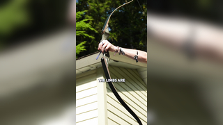 Mandarin Duck Black Hunter #archery #archer #recurvearchery #recur...