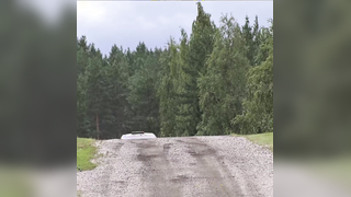 Crazy Rally #Rally #FlatOut #BigJumps #Racing #Motorsport #RallyL...