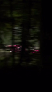 Meet Roxy! 🩷 The Porsche 911 GT3R #porsche #gt3r #motorsport #roxy #e...