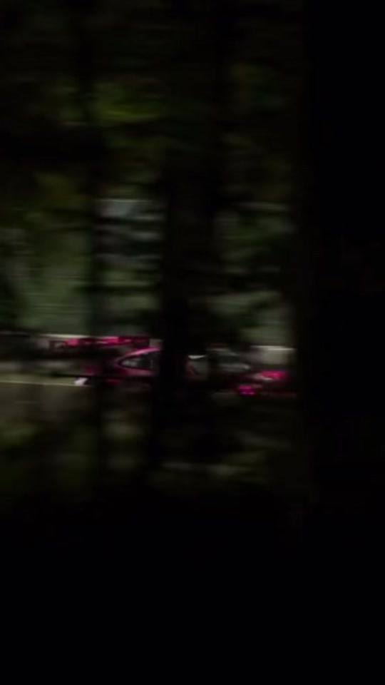 Meet Roxy! 🩷 The Porsche 911 GT3R #porsche #gt3r #motorsport #roxy #e...