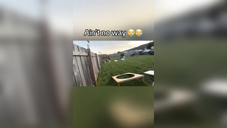 Not on mega cornhole board (adrianmcollins/IG) #cornhole #backyard...