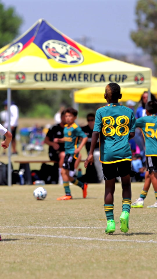 WHAT A SAVE!! #fyp #football #skills #soccer ( via bzfilms / TT )