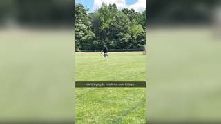 Bro has a future in ultimate frisbee (f*ckjerry/IG) #sports #playmaker