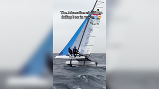 Constantly living on the edge??? #loyaltothefoil #sailinglife #sailin...