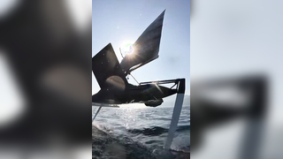 Boarderline @Gottifredimaffioli #foiling #sailing