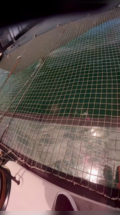 Inside my goggles on @Red Bull Italia #sailing #foiling #sailgp @S...