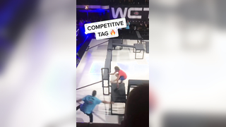 Most intense game of tag you’ll ever see. (via davidnelmes/Instagram)
