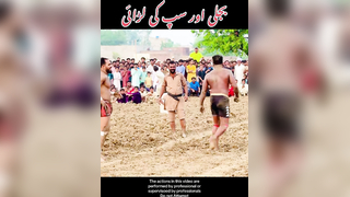 Bijli or saap ke larai #bijli #kabaddi #fight #fyp
