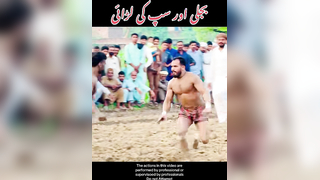 Bijli or saap ke larai #bijli #kabaddi #fight #fyp