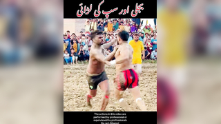 Bijli or saap ke larai #bijli #kabaddi #fight #fyp