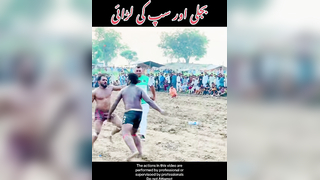 Bijli or saap ke larai #bijli #kabaddi #fight #fyp
