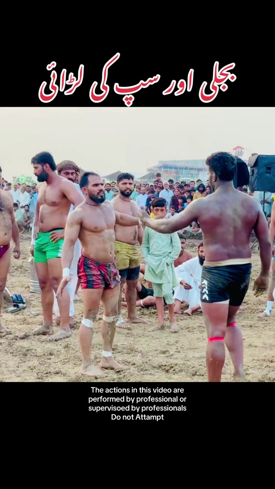 Bijli or saap ke larai #bijli #kabaddi #fight #fyp