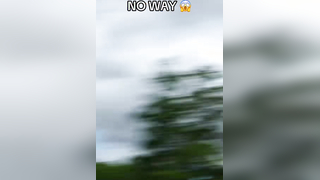 He made an ALBATROSS from 244 yards out (via @Garrett Clark - Golf...