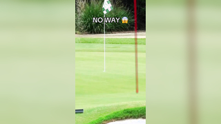 He made an ALBATROSS from 244 yards out (via @Garrett Clark - Golf...