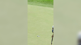 A birdie worth the wait at the last for Tommy Fleetwood #golf #golf...