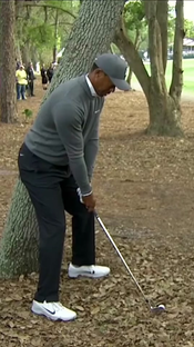 Every angle of Tiger’s INSANE shot from around a tree at the Valspar ...