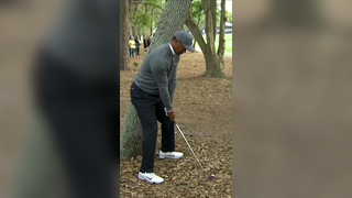 Every angle of Tiger’s INSANE shot from around a tree at the Valspar ...