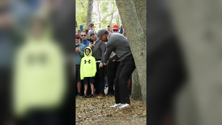 Every angle of Tiger’s INSANE shot from around a tree at the Valspar ...