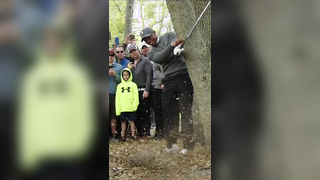 Every angle of Tiger’s INSANE shot from around a tree at the Valspar ...