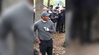 Every angle of Tiger’s INSANE shot from around a tree at the Valspar ...