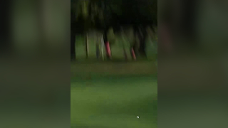 Rory McIlroy is an animal #golf #fyp #rorymcilroy #PGATOUR