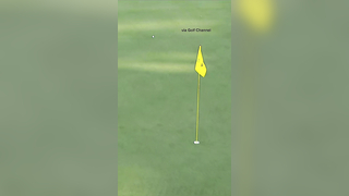 Rory McIlroy is an animal #golf #fyp #rorymcilroy #PGATOUR