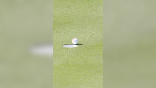 These lip-outs are BRUTAL #Golf #PGATOUR
