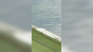 Tough break for Lucas Herbert #golf #PGATOUR #miss