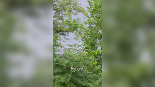 10 years later, still not cool. #pgatour #sports #golf