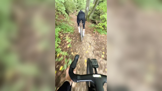 The trails get better and better ‍ #cyclingmotivation #cycling #g...