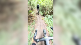 The trails get better and better ‍ #cyclingmotivation #cycling #g...