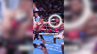 The Sweet Science! #boxing #boxing